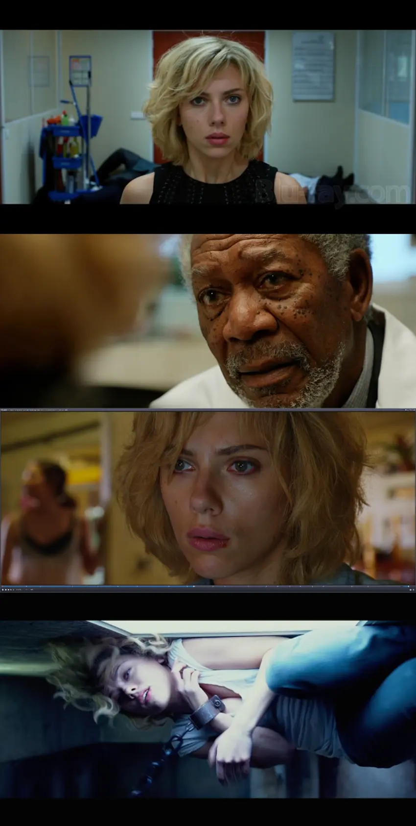 Download Lucy | 2014 | Hindi-English | Dual Audio | 480p 720p 1080p