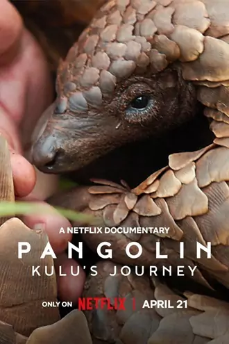 Download Pangolin: Kulu’s Journey | 2025 | Hindi-English | Dual Audio | WEB-DL | Full Movie 480p 720p 1080p