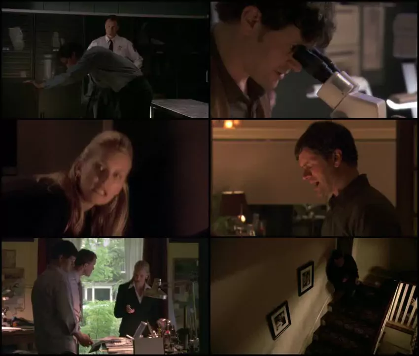 Download The Devils Teardrop | 2010 | Hindi-English | Dual Audio | Full Movie 480p 720p 1080p