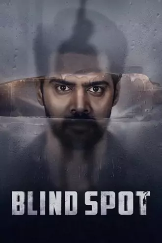 Download Blind Spot | 2025 | Hindi DD5.1 | Multi-Audio | WEB-DL | Full Movie 480p 720p 1080p