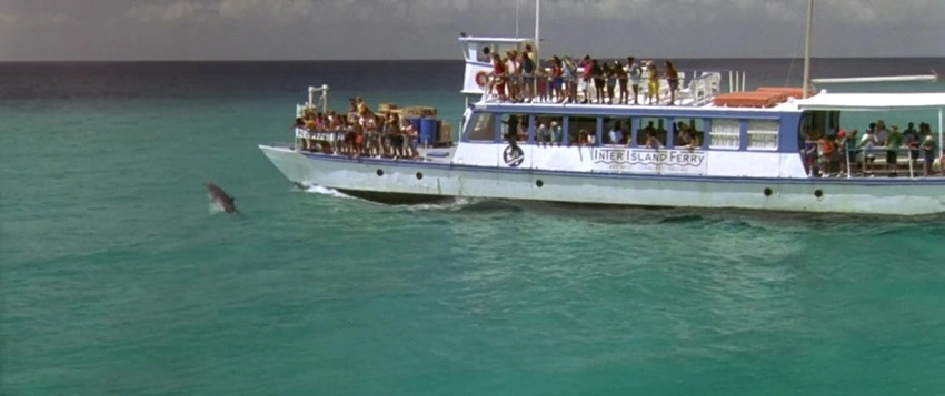 Download Flipper | 1996 | Hindi-English | Dual Audio | BluRay | Full Movie 480p 720p 1080p