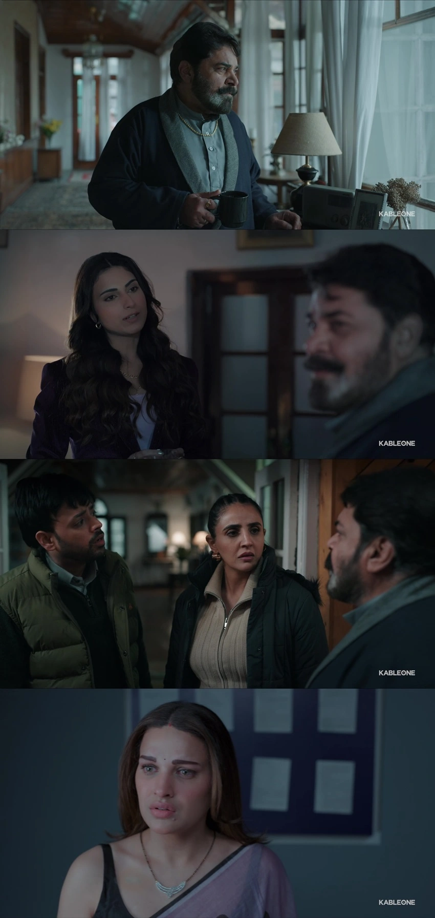 Download Haan Main Pagal Haan | 2025 | Punjabi DD2.0 | WEB-DL | Full Movie 480p 720p 1080p