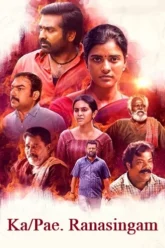 rob1Ax9B7jOkWxEtyu5y6u6467 (1)