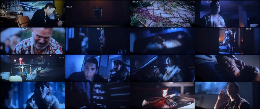 Download Coyotes | 2025 | Hindi Dubbed | CAMRip | Full Movie 480p 720p 1080p