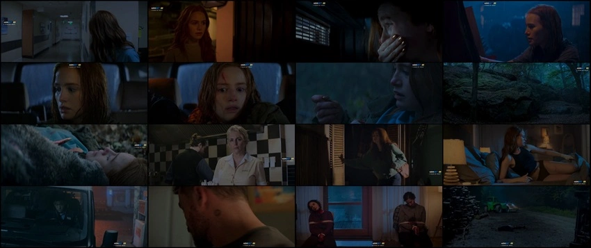 Download The Strangers: Chapter 2 | 2025 | Hindi - English | Dual Audio | WEBRip | Full Movie 480p 720p 1080p