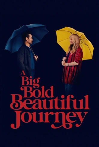 Download A Big Bold Beautiful Journey | 2025 | Hindi (DD5.1) & English | Dual Audio | WEB-DL | Full Movie 480p 720p 1080p