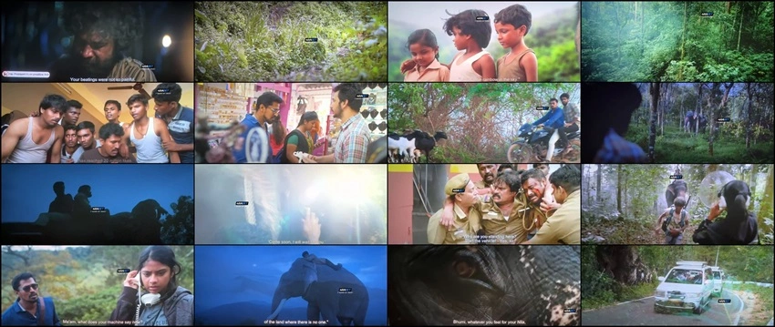 Download Kumki 2 | 2025 | Hindi Dubbed | CAMRip | Full Movie 480p 720p 1080p