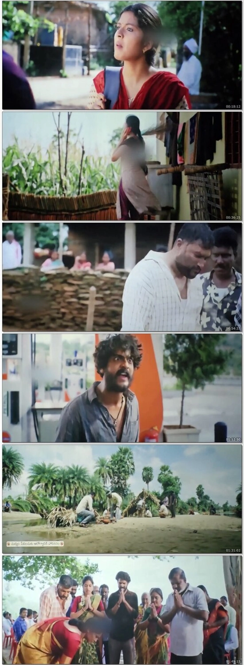 Download Raju Weds Rambai | 2025 | Hindi Dubbed | CAMRip | Full Movie 480p 720p 1080p