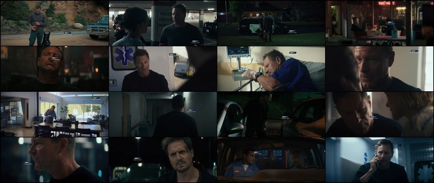 Download Muzzle: City of Wolves | 2025 | Hindi Dubbed | WEBRip | Full Movie 480p 720p 1080p